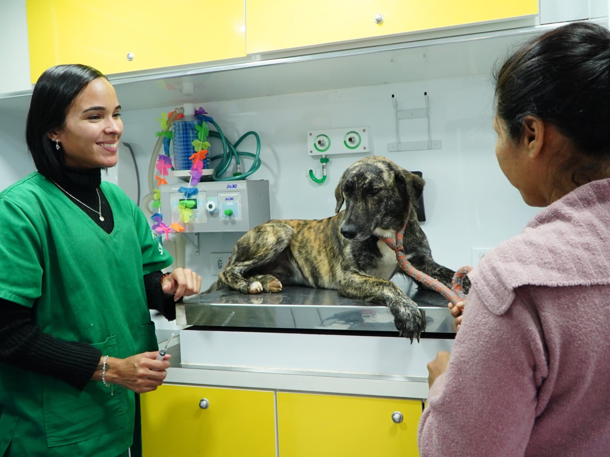 Pronto Atendimento Animal itinerante na Costa Norte em São Sebastião