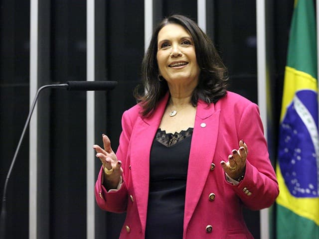 Dino envia ao TRE-DF denúncia por suposta publicidade irregular de Bia Kicis