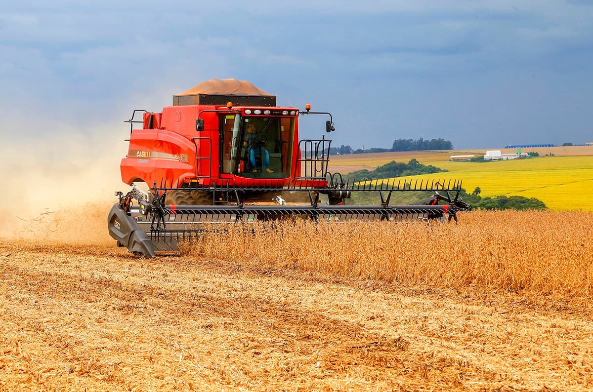 Produção agrícola em agosto foi 2% maior comparado a 2025, segundo IBGE