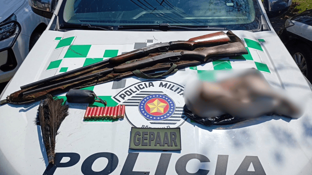 Polícia Ambiental localiza armas em unidade de conservação em Ilhabela