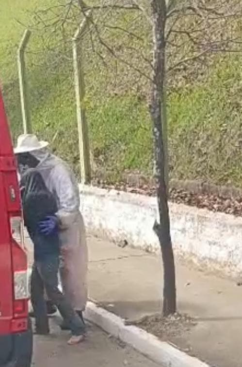 Idoso fica em estado grave após ataque de enxame de abelhas em Andradas
