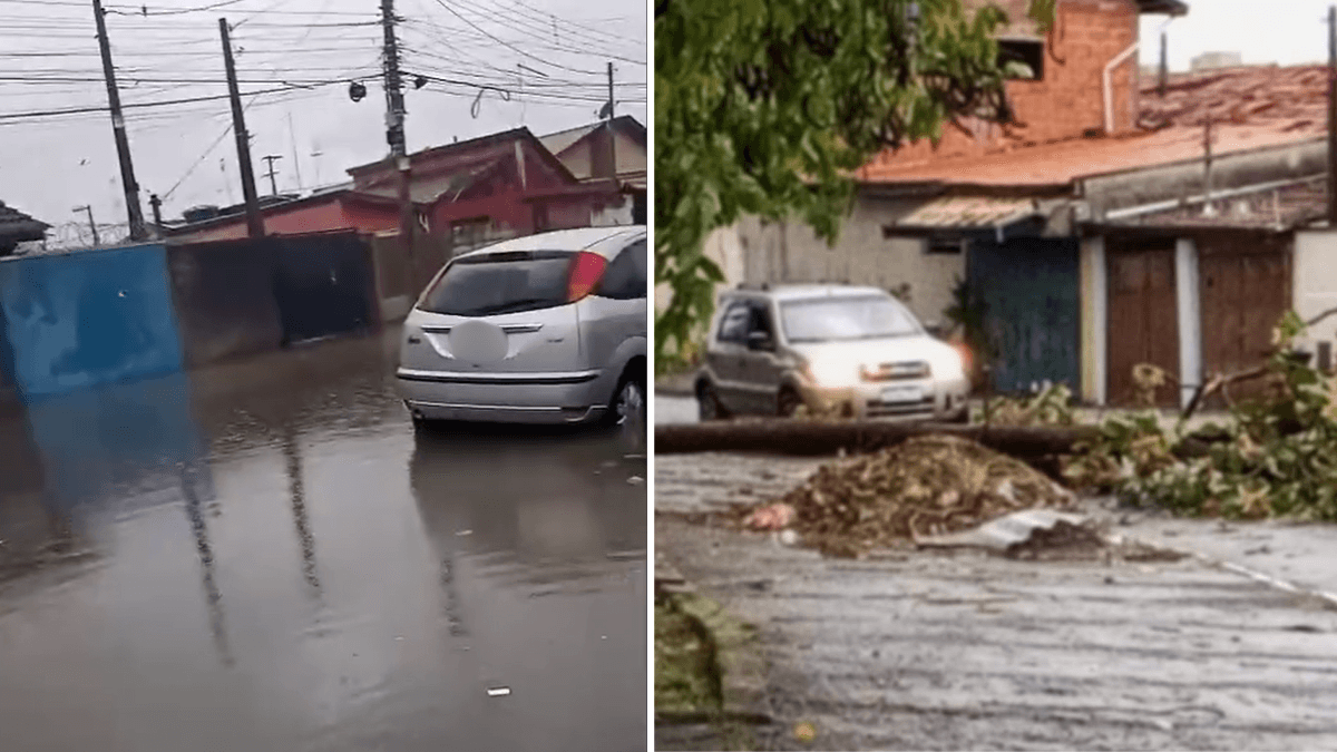 Fortes chuvas causam alagamentos e oito quedas de árvores em Taubaté