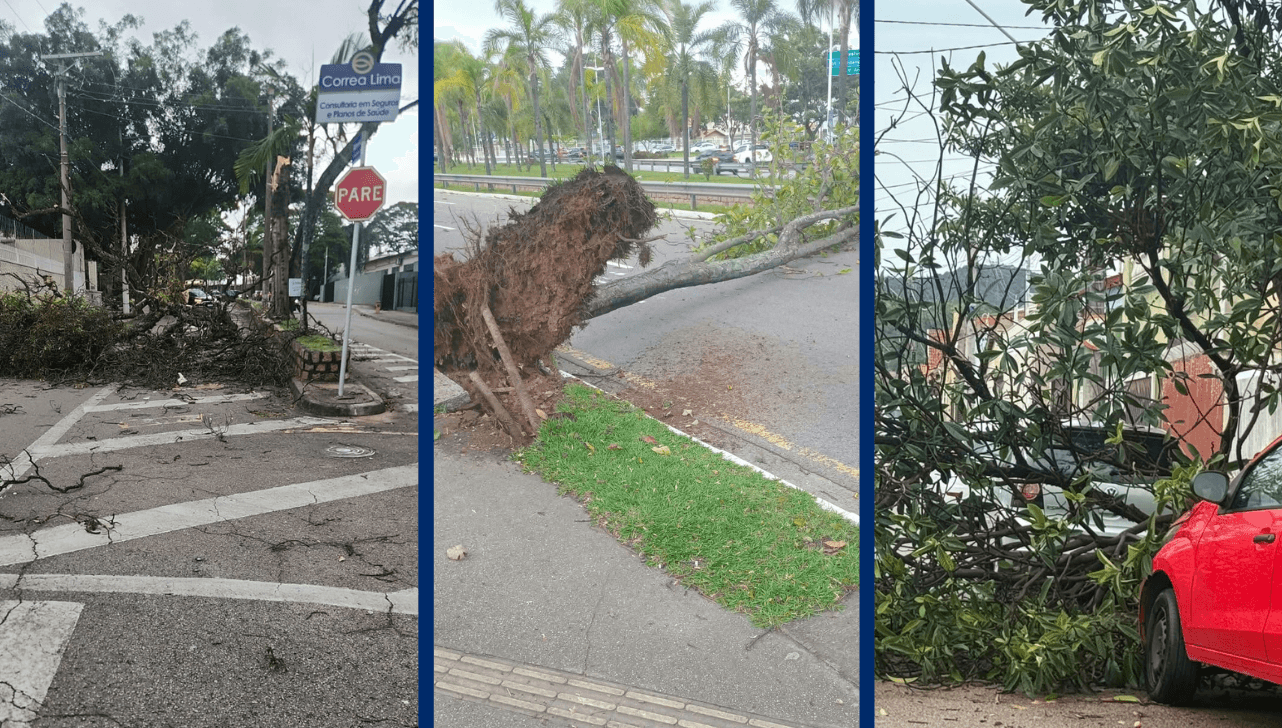 Chuva forte com ventos intensos provoca queda de árvores e danos em Jundiaí