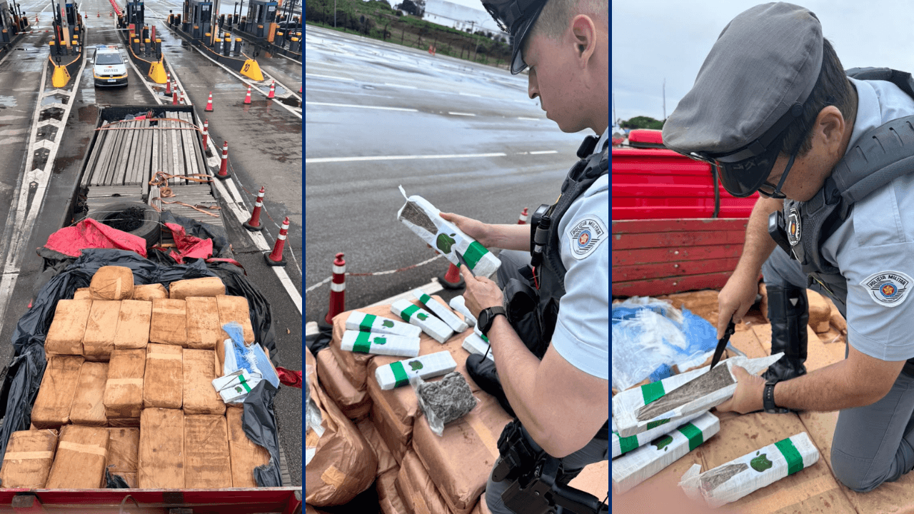 Polícia apreende quase uma tonelada de maconha e skunk em Boituva