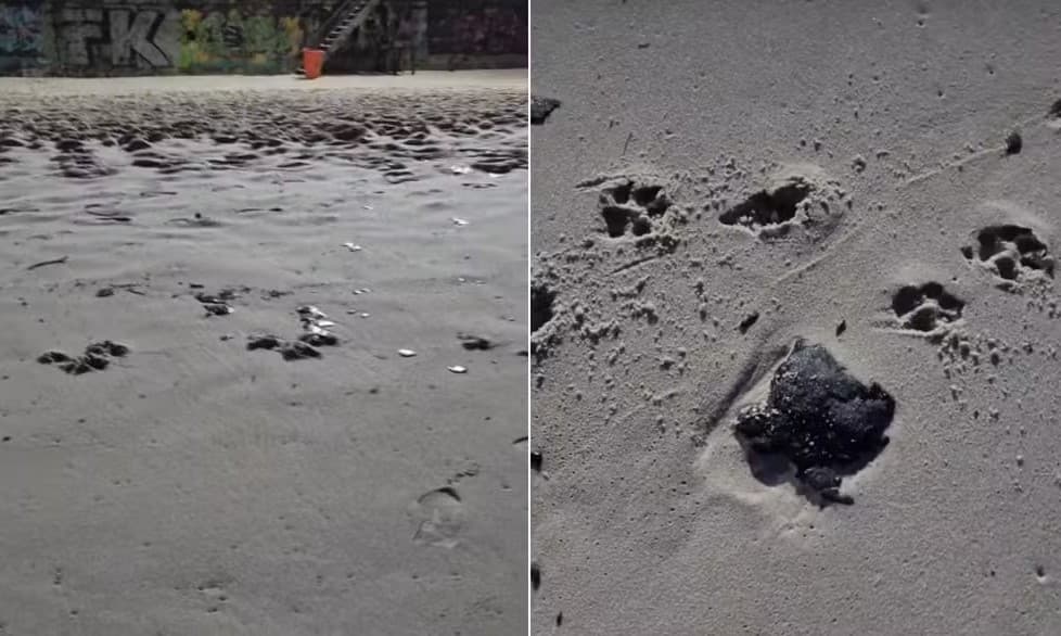 INEA conclui que substância encontrada em Ipanema é derivada do petróleo