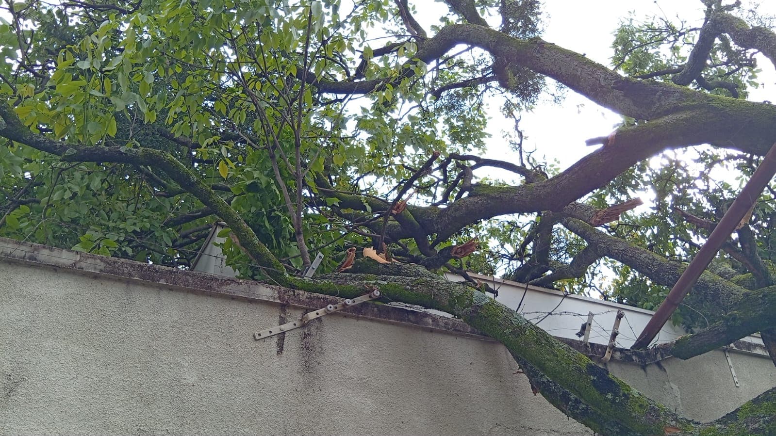 Prudente registra rajada de vento de 81,5 km/h