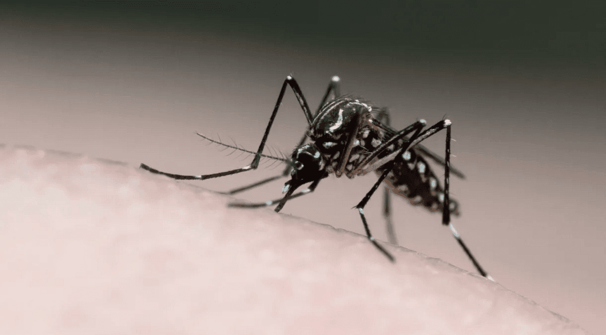 Taubaté confirma 3ª morte por dengue e Vale soma sete óbitos em 2026