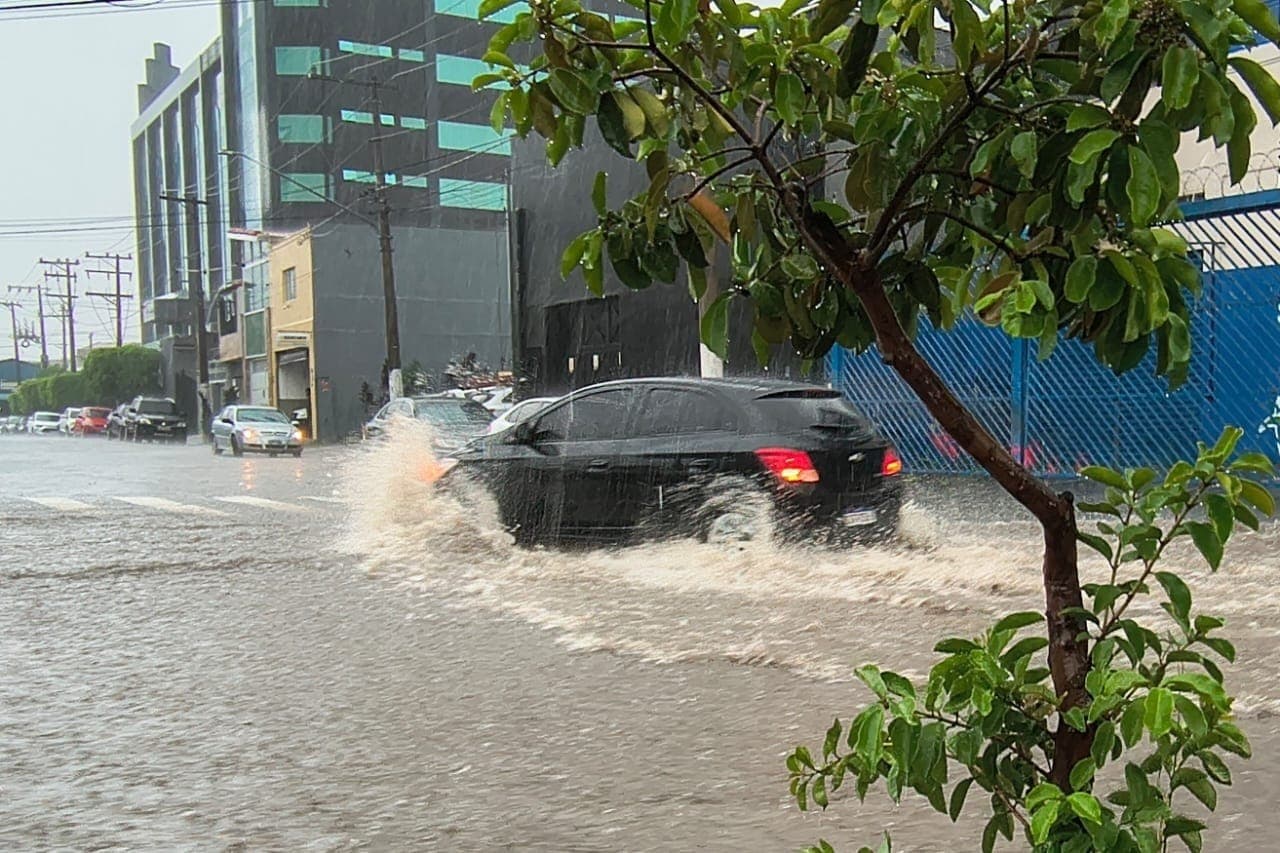 Número de mortos chega a cinco em São Paulo após temporais