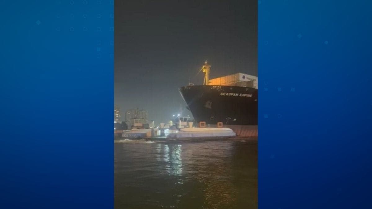 Navio atinge balsas no Porto de Santos e tripulantes pulam no mar