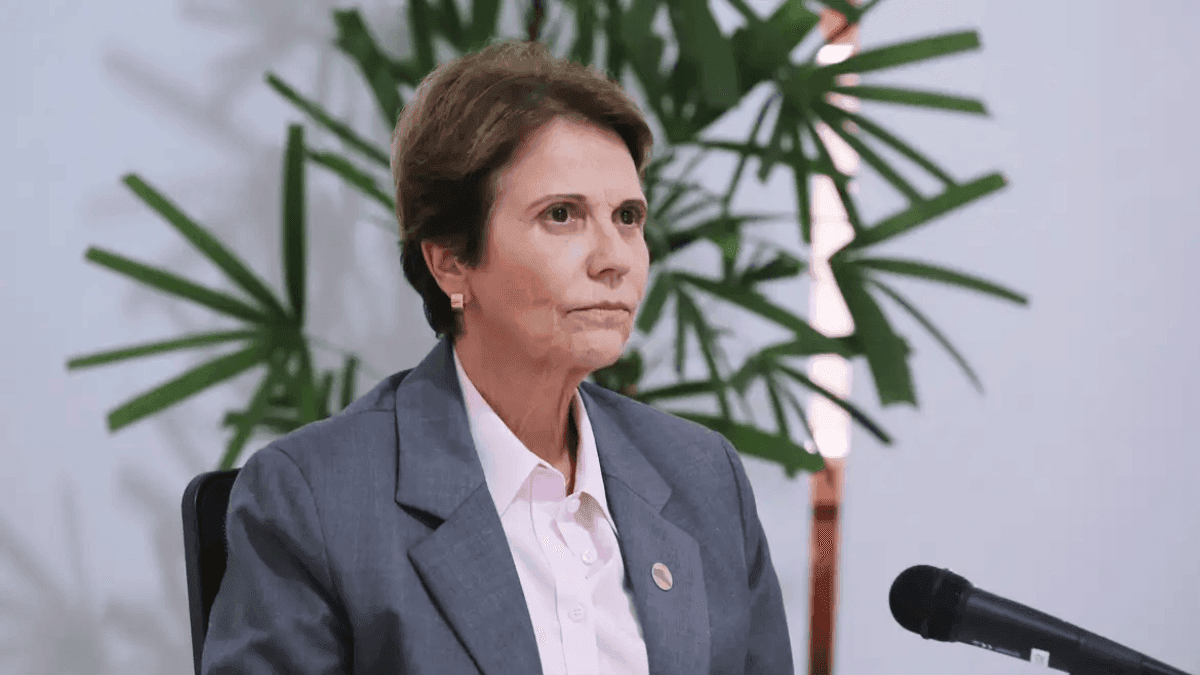 "Renegociação de dívidas permitirá acesso ao Plano Safra", diz senadora