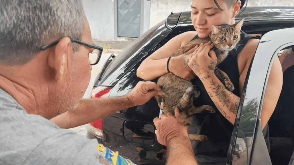 Taubaté realiza vacinação antirrábica de cães e gatos nesta quarta (14)