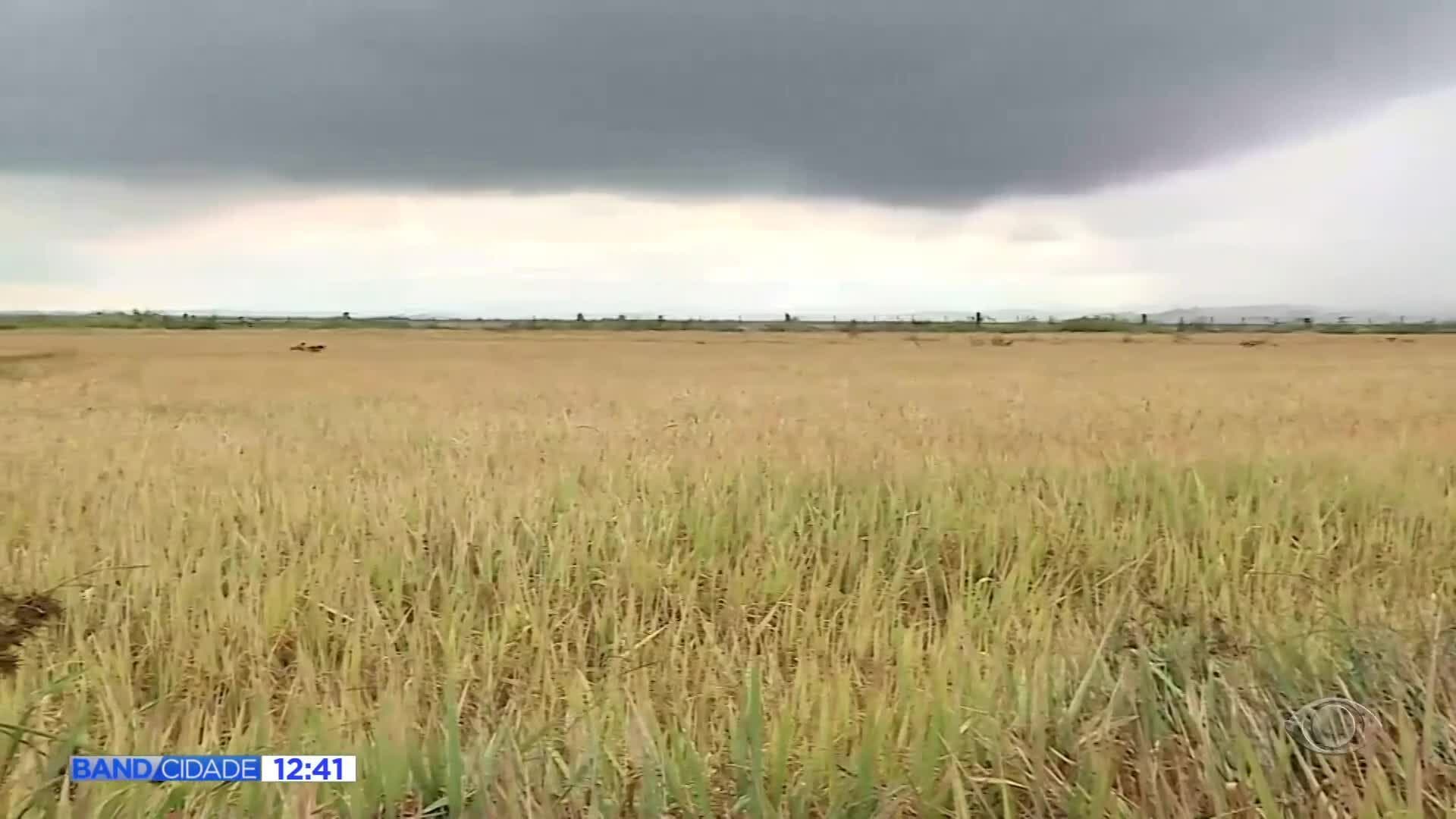 El Niño aumenta risco de temporais, enxurradas e cheias no Paraná