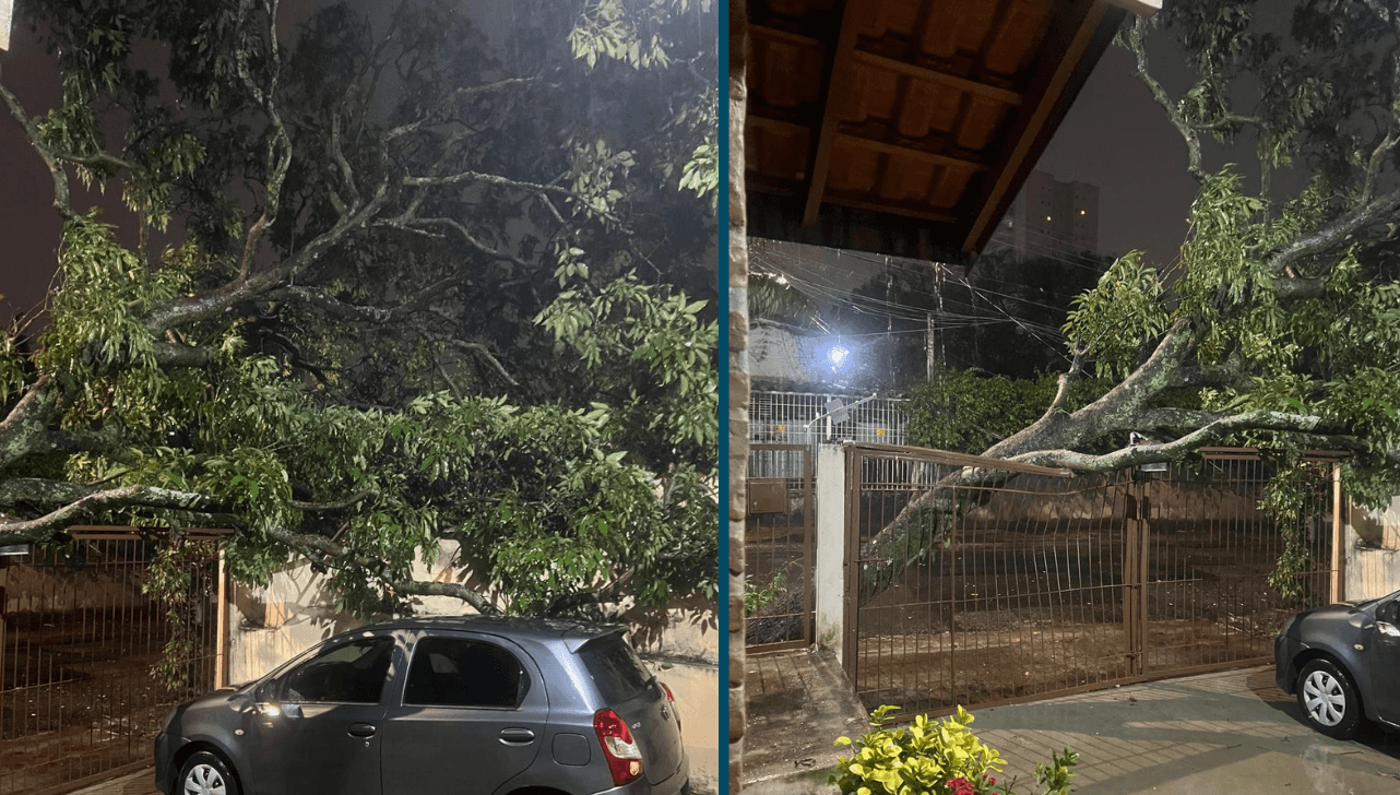 Chuvas: Campinas registra quedas de árvores, destelhamento e alagamento
