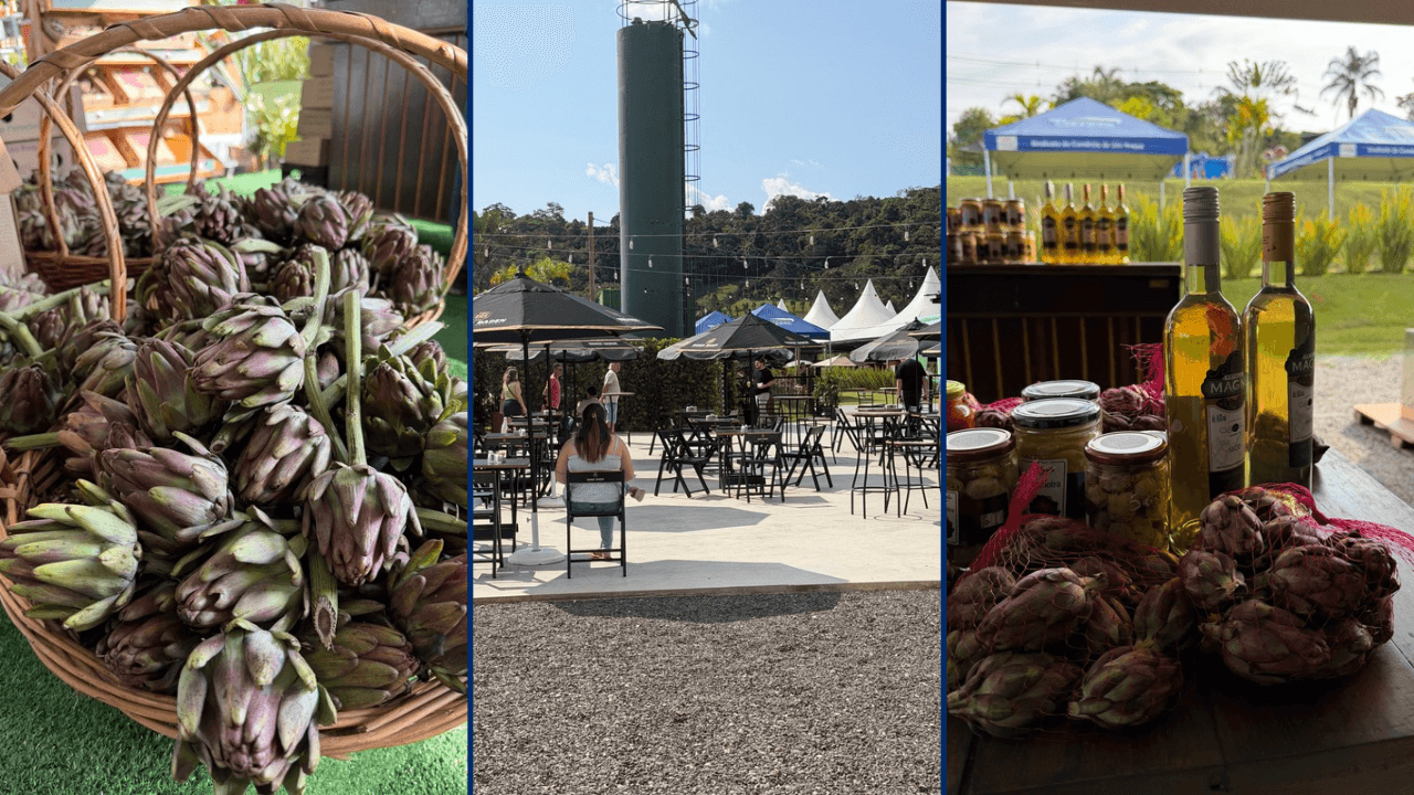 Festival da Alcachofra, Vinho e Mel reúne mais de 5 mil pessoas em São Roque