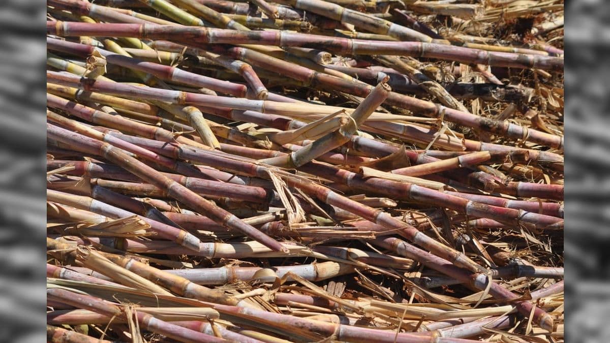 Venda de etanol cresce 15% em abril com maior competitividade nas bombas