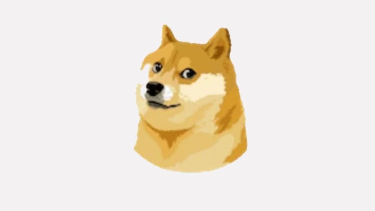 Por que tem um cachorro no logo do Twitter? Entenda o que é a dogecoin