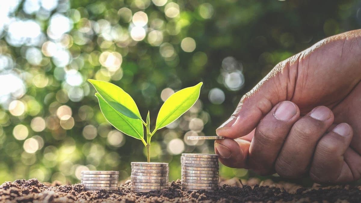 Banco do Brasil abre renegociação de até R$ 100 bi em dívidas do agro