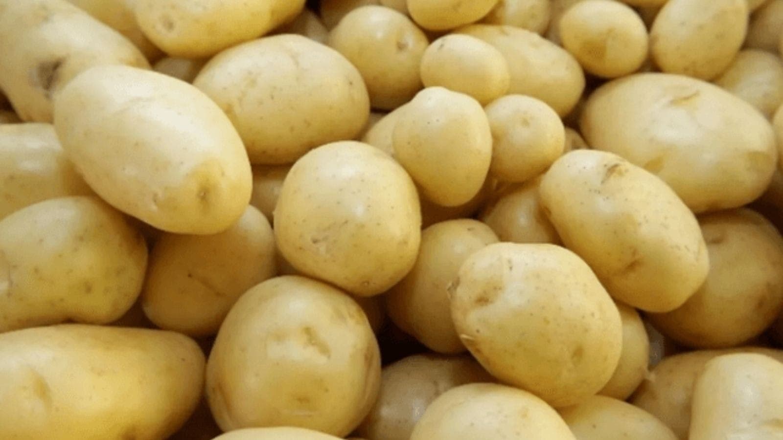 Preço da batata cai 37% com a safra de inverno e ajuda a segurar inflação