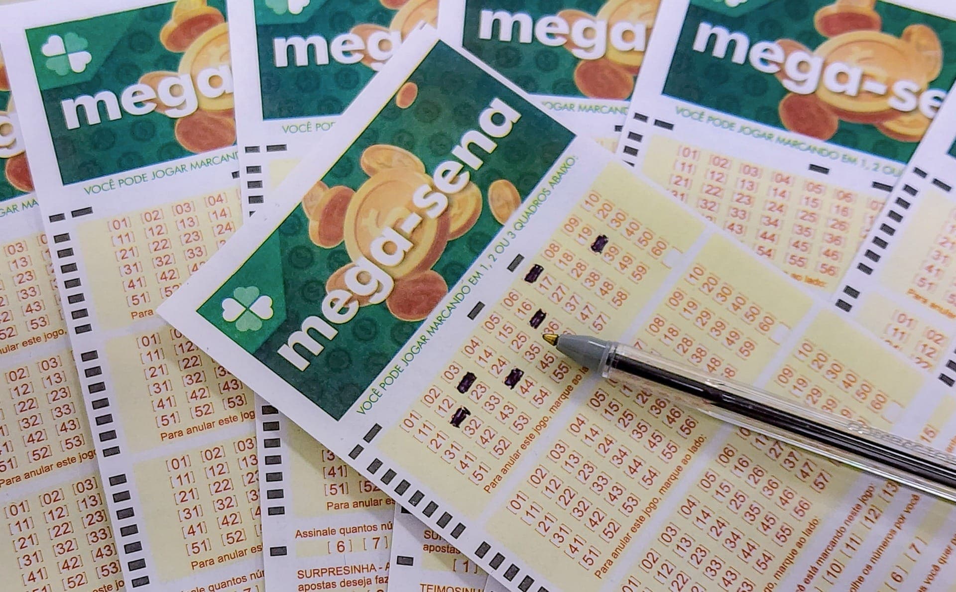 Mega-Sena: veja os números do concurso 3047 que pode pagar R$ 49 milhões