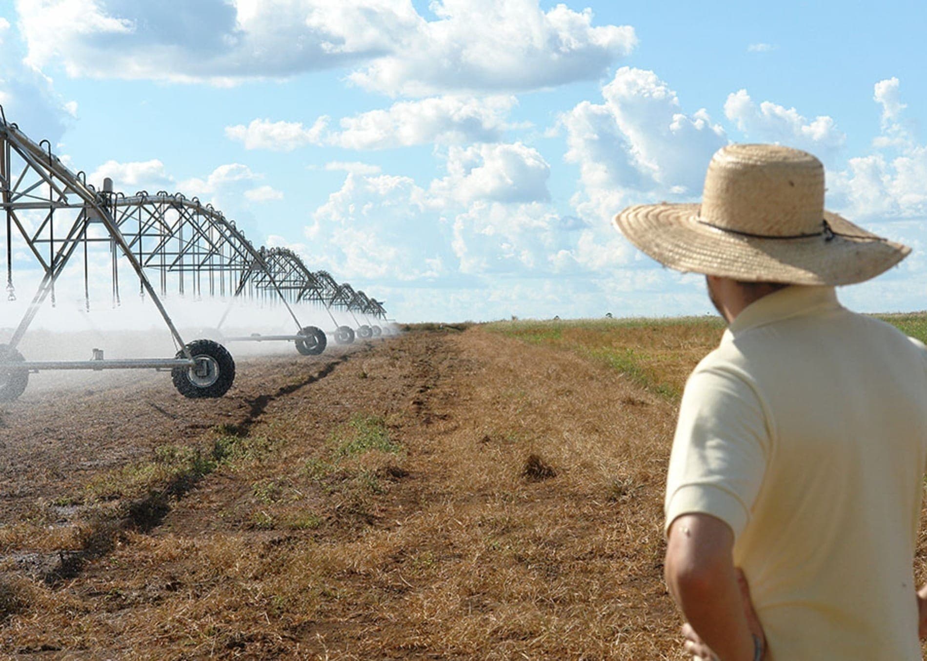 EUA podem perder posto de maior exportador agrícola do mundo para o Brasil