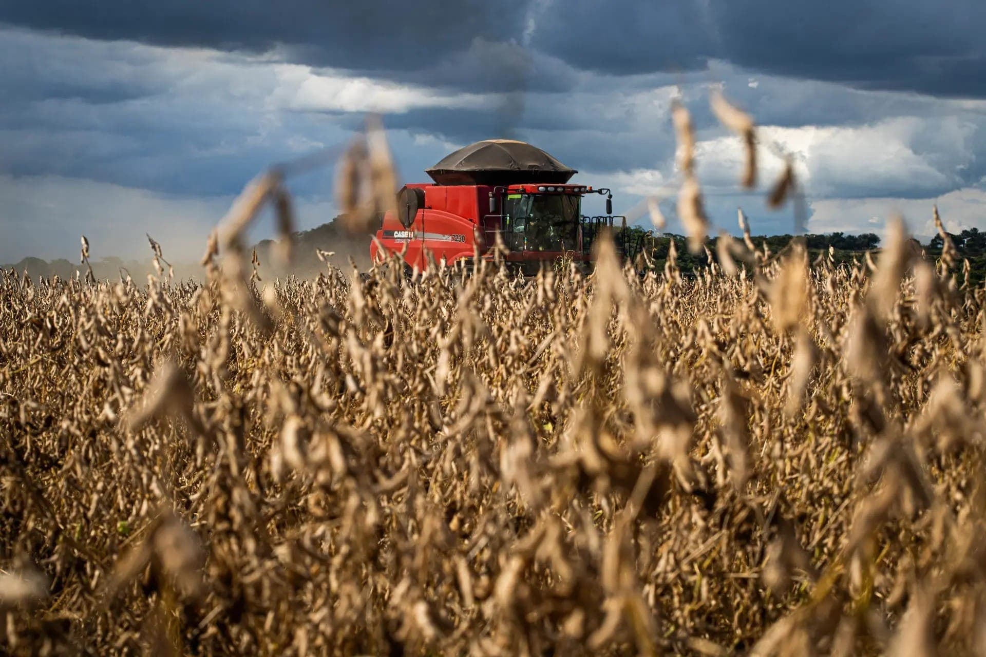 Agronegócio perde 267 mil vagas no 1º trimestre de 2026, indica Cepea
