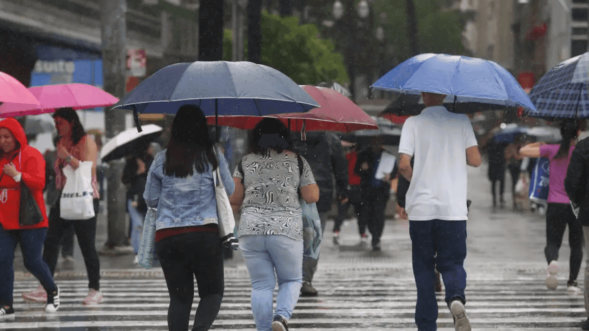 Defesa Civil emite 15 alertas de chuva em SP durante a madrugada