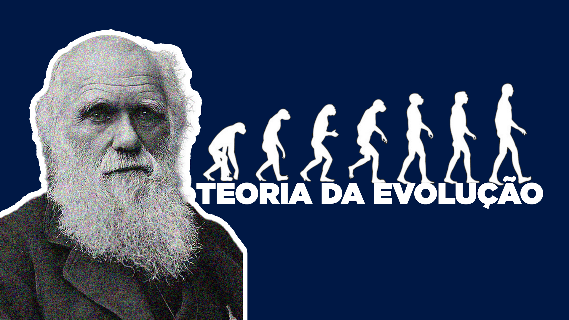 Teoria da Evolução é a que mais bomba entre brasileiros