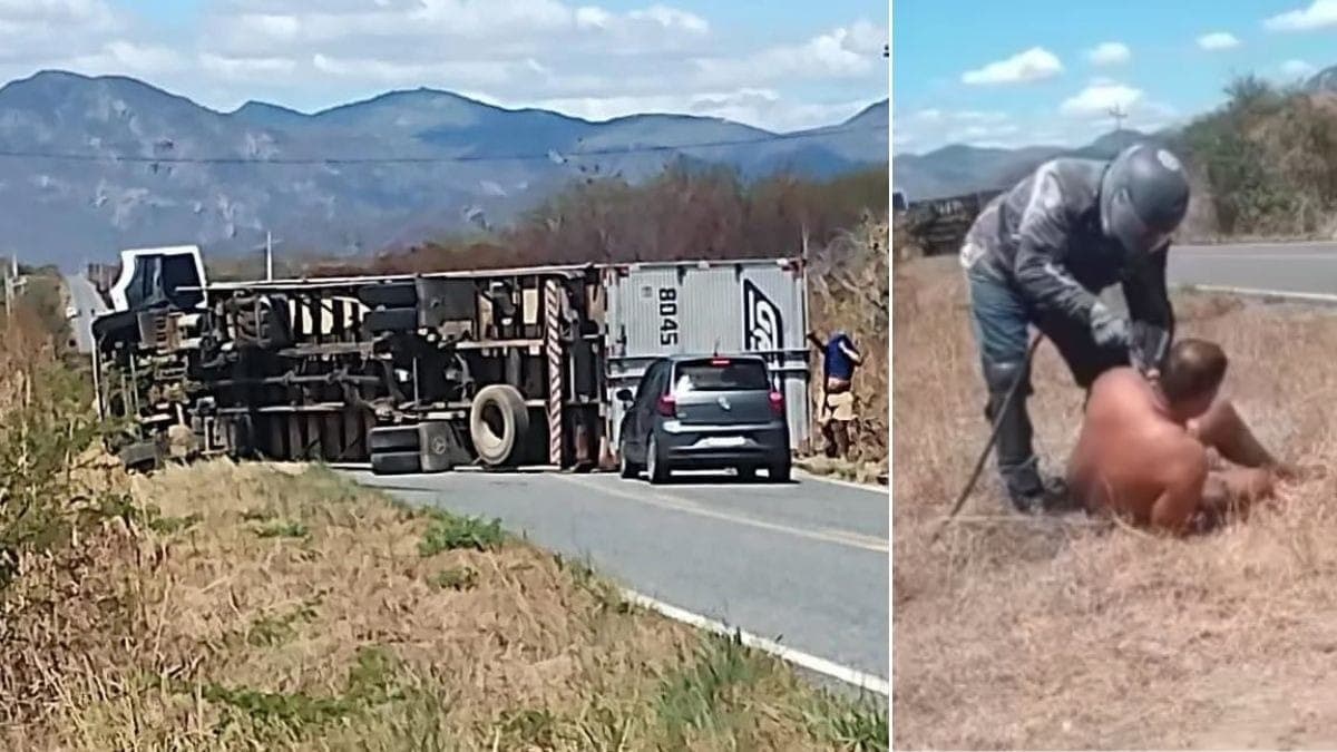 Abelhas atacaram Legendários, mataram idoso e fizeram caminhão tombar em 48 horas
