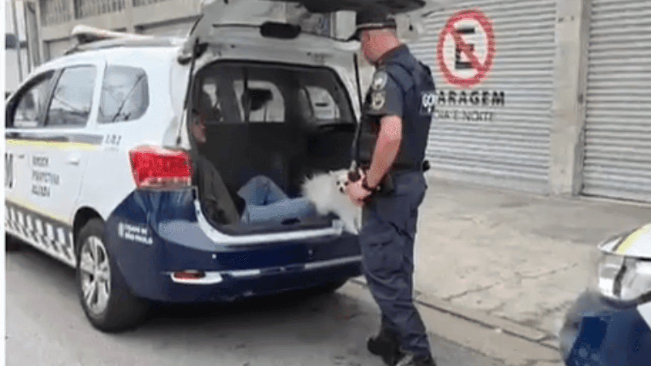 Homem finge ser policial com cachorro e é preso em São Paulo