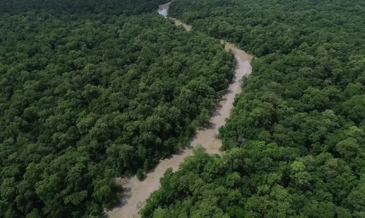 Influência de facções cresce e atingi quase 50% na Amazônia Legal