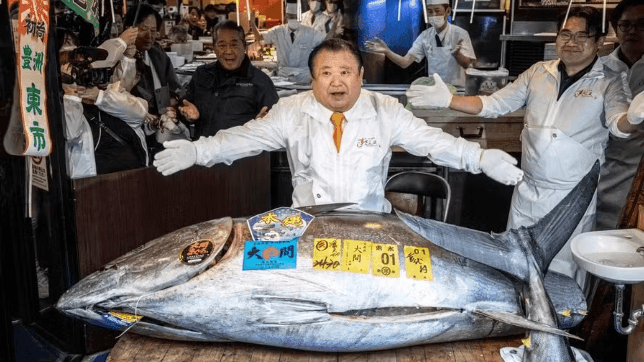 Atum gigante do Japão chega a 15 milhões de reais
