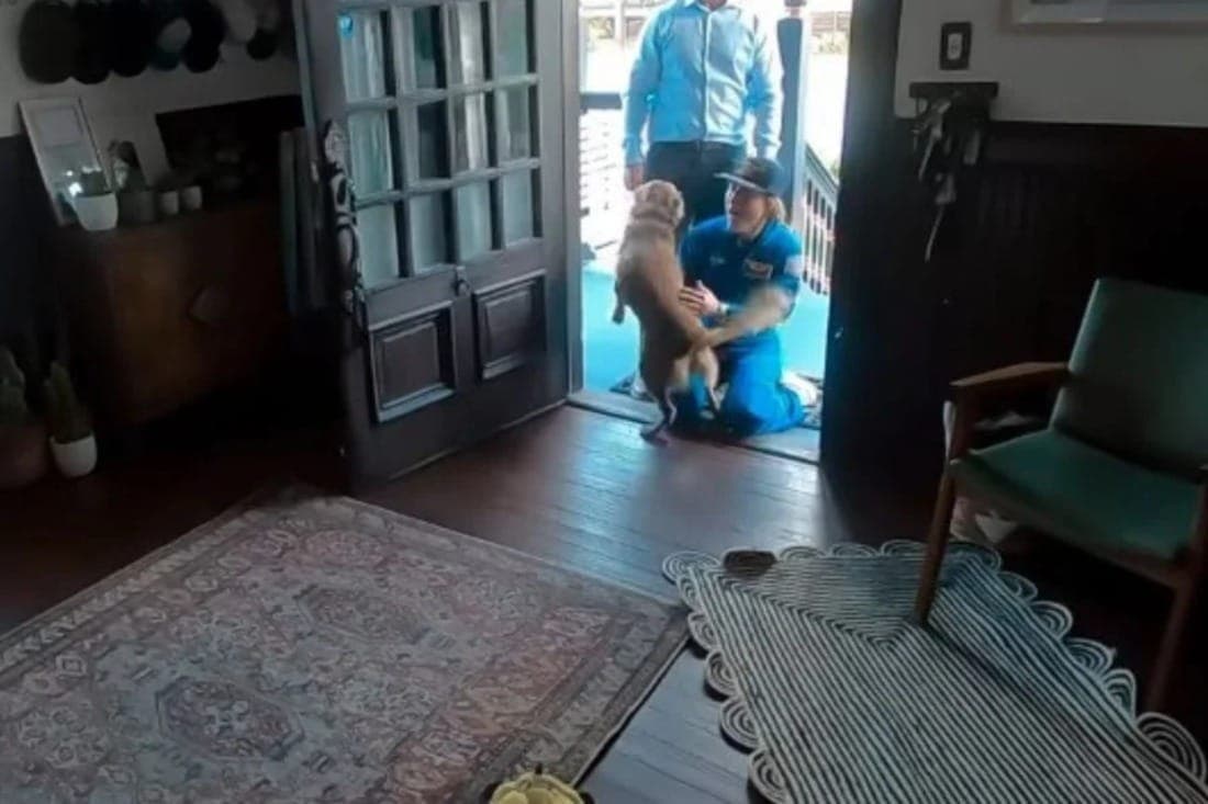 Astronauta da Artemis II grava reencontro com cachorro após missão lunar