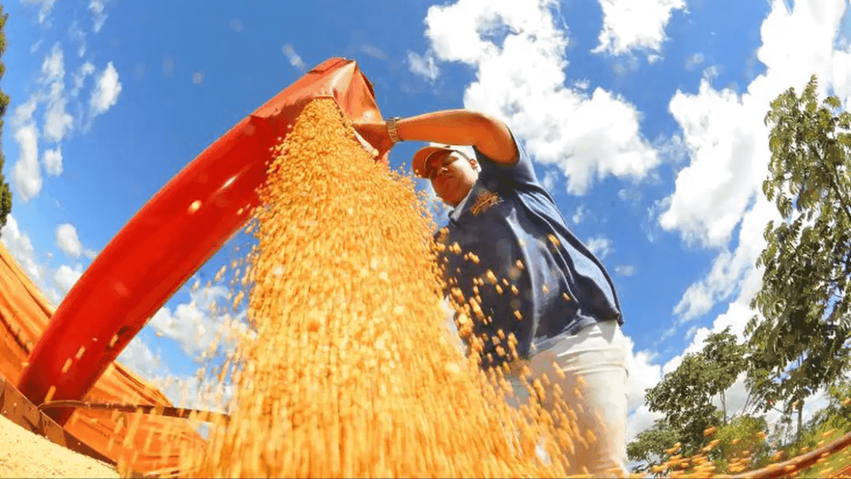 Brasil deve liderar exportações agrícolas globais, aponta Financial Times