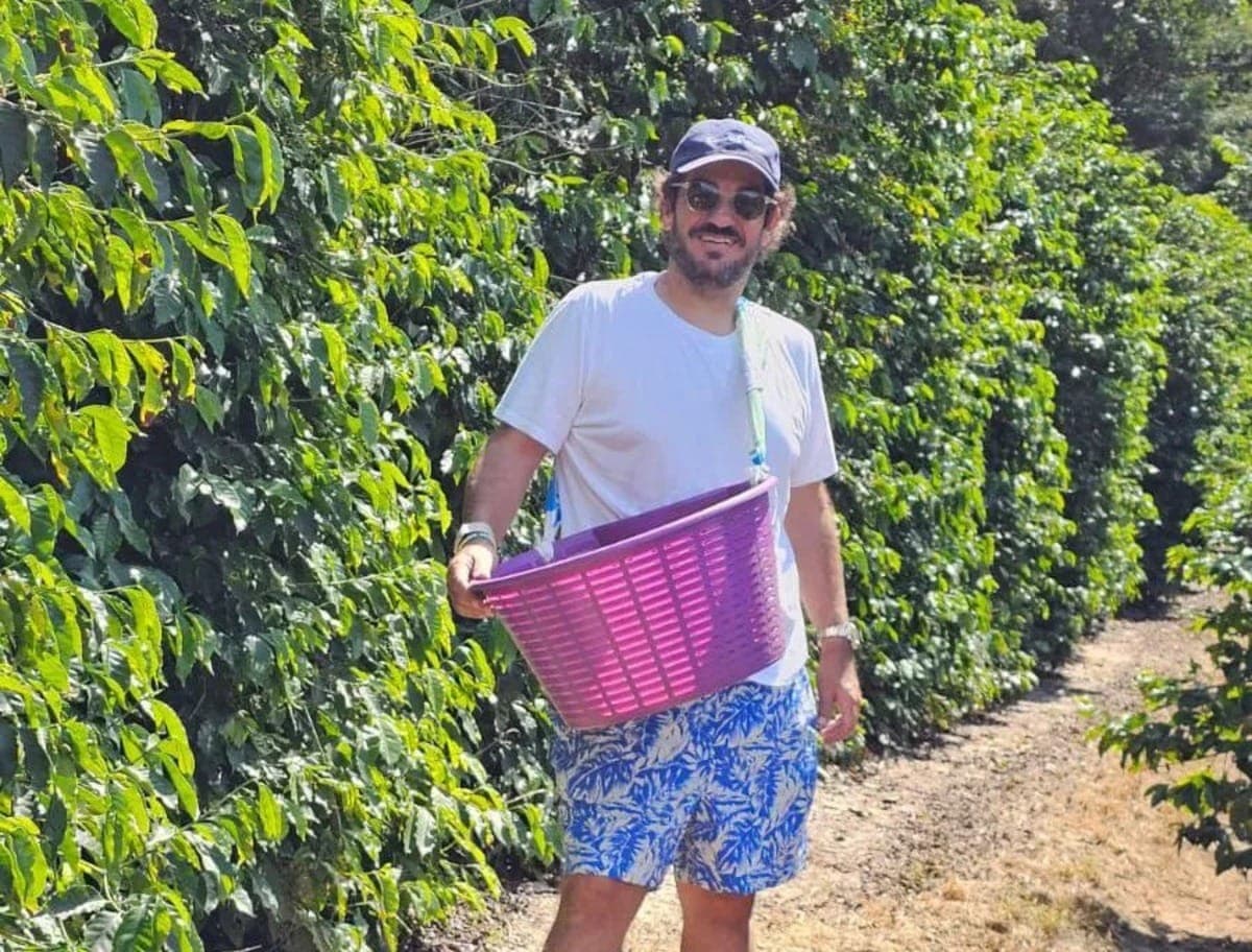 Café geisha de Minas Gerais é vendido por R$ 3 mil em leilão online