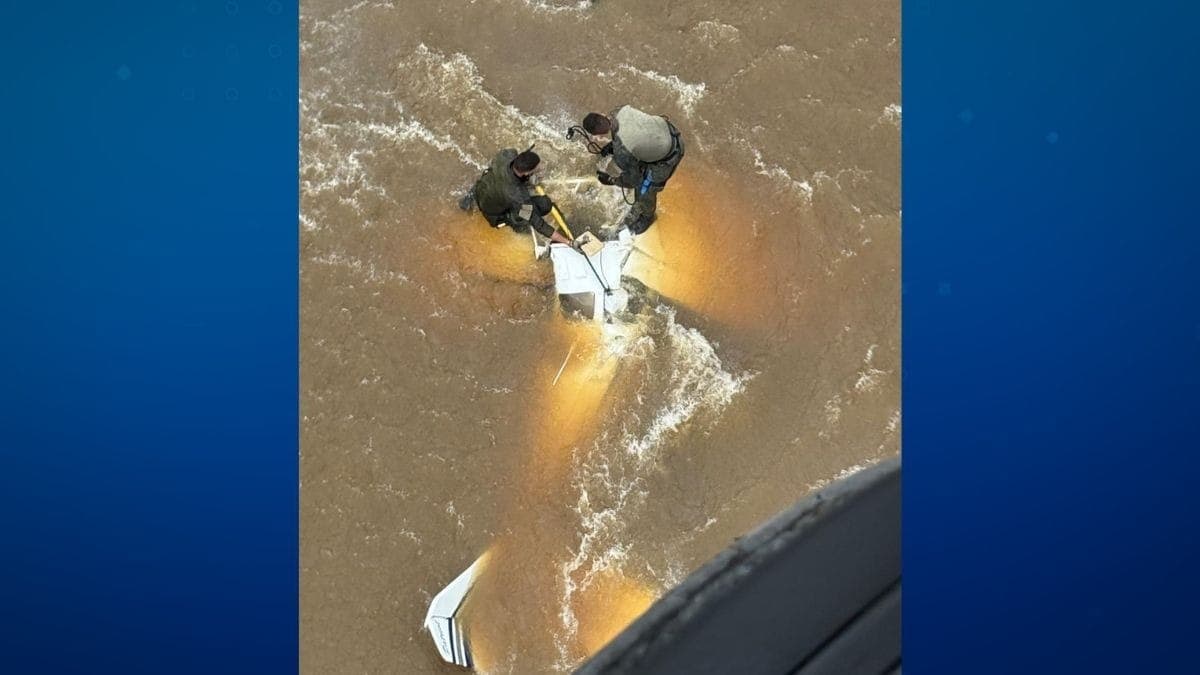 PF e FAB interceptam avião estrangeiro carregado com skunk em Roraima