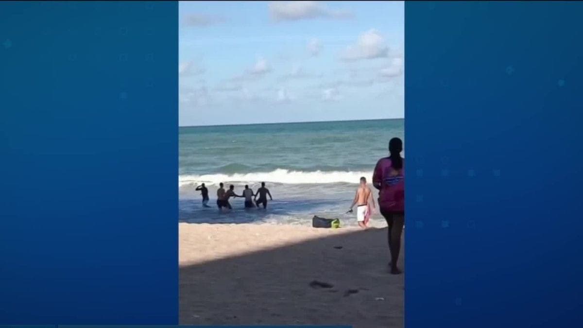 Pernambuco avalia proibir banho de mar em mais áreas após ataque de tubarão