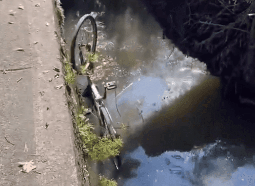 Ladrão é contido e jogado na Lagoa Rodrigo de Freitas após roubar cordão
