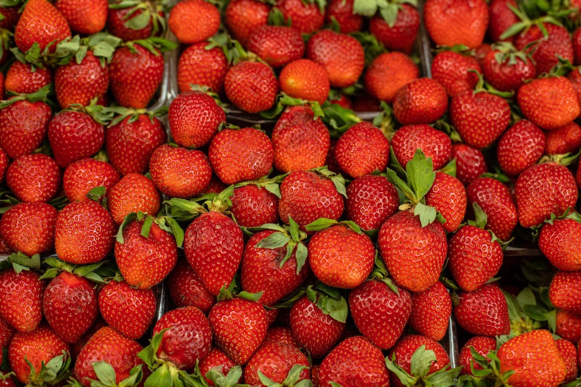 Festa do Morango de Atibaia é passeio perfeito para as férias; veja datas