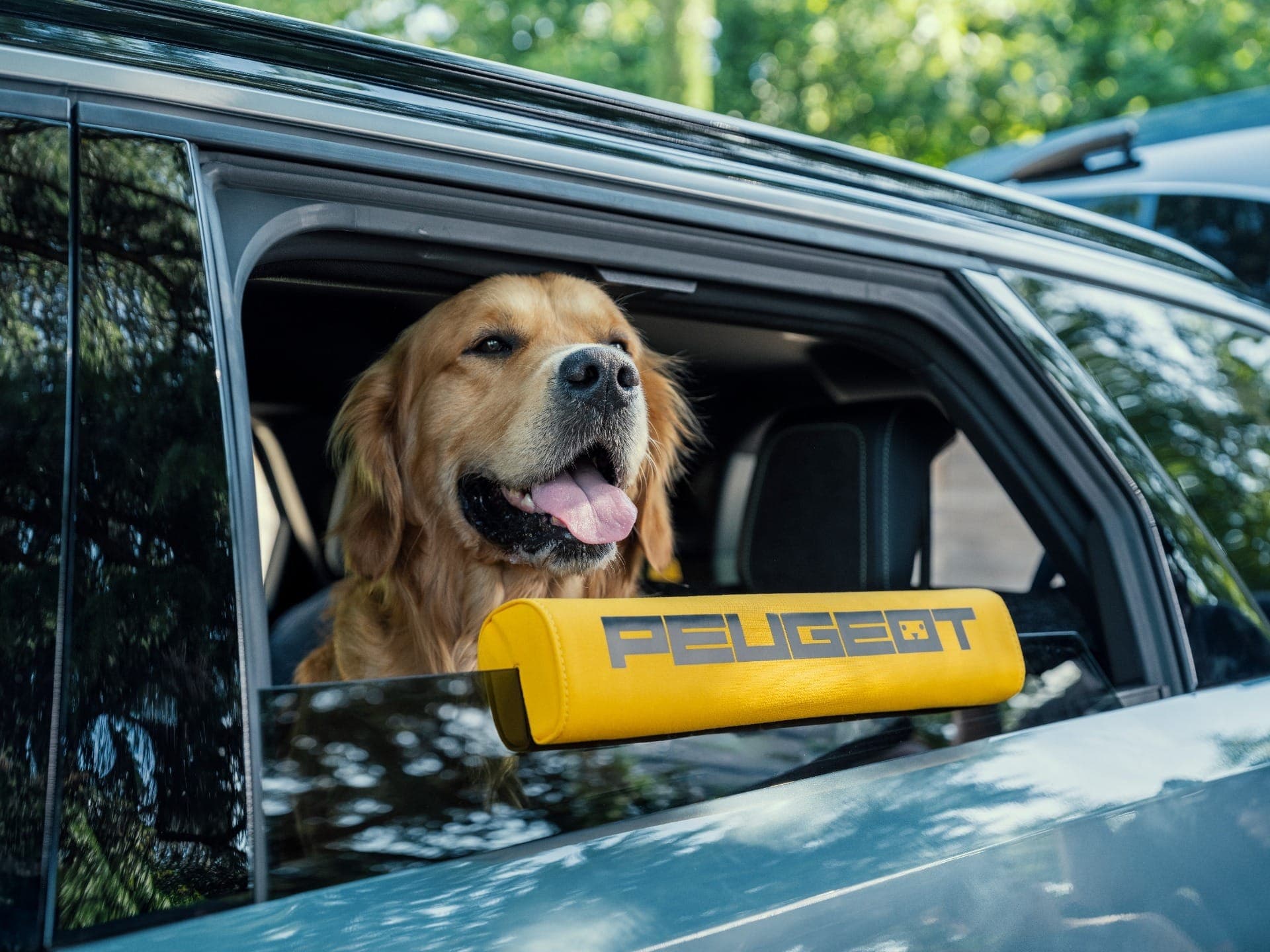 Peugeot cria SUV elétrico feito para cachorros; saiba mais