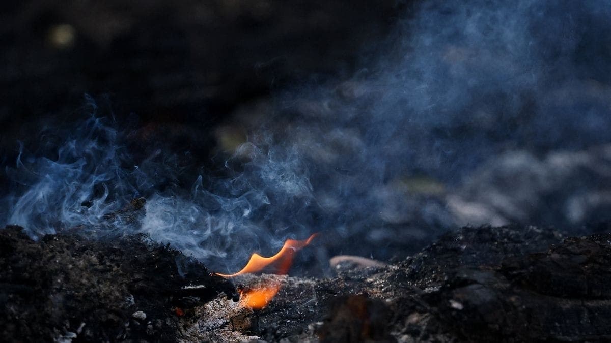 Queimadas na França e Espanha se alastram antes de nova onda de calor