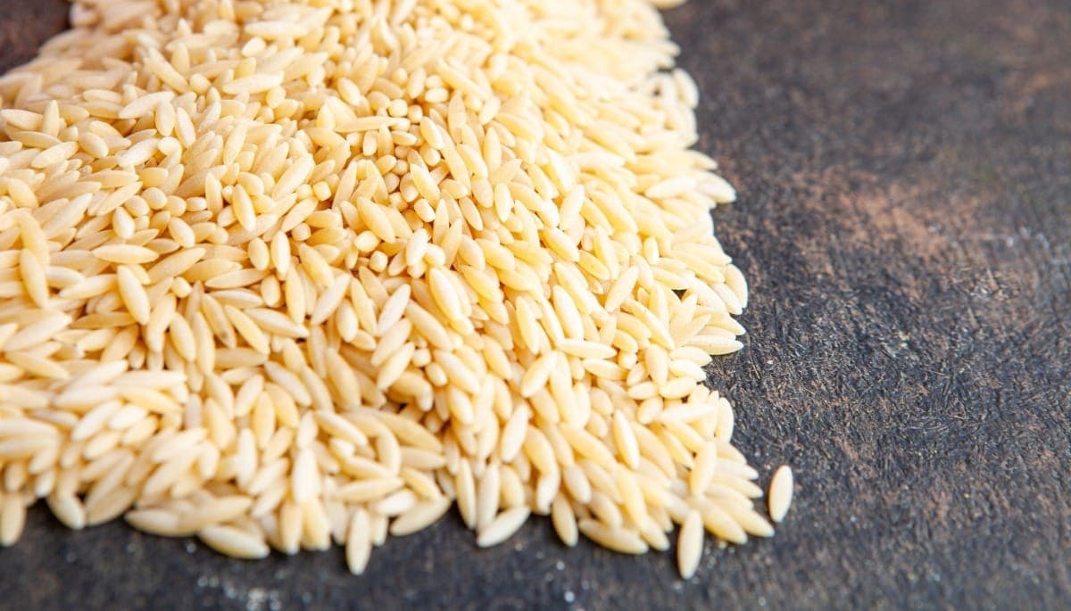 Preço do arroz em casca sobe no RS, mas custos desafiam produtores