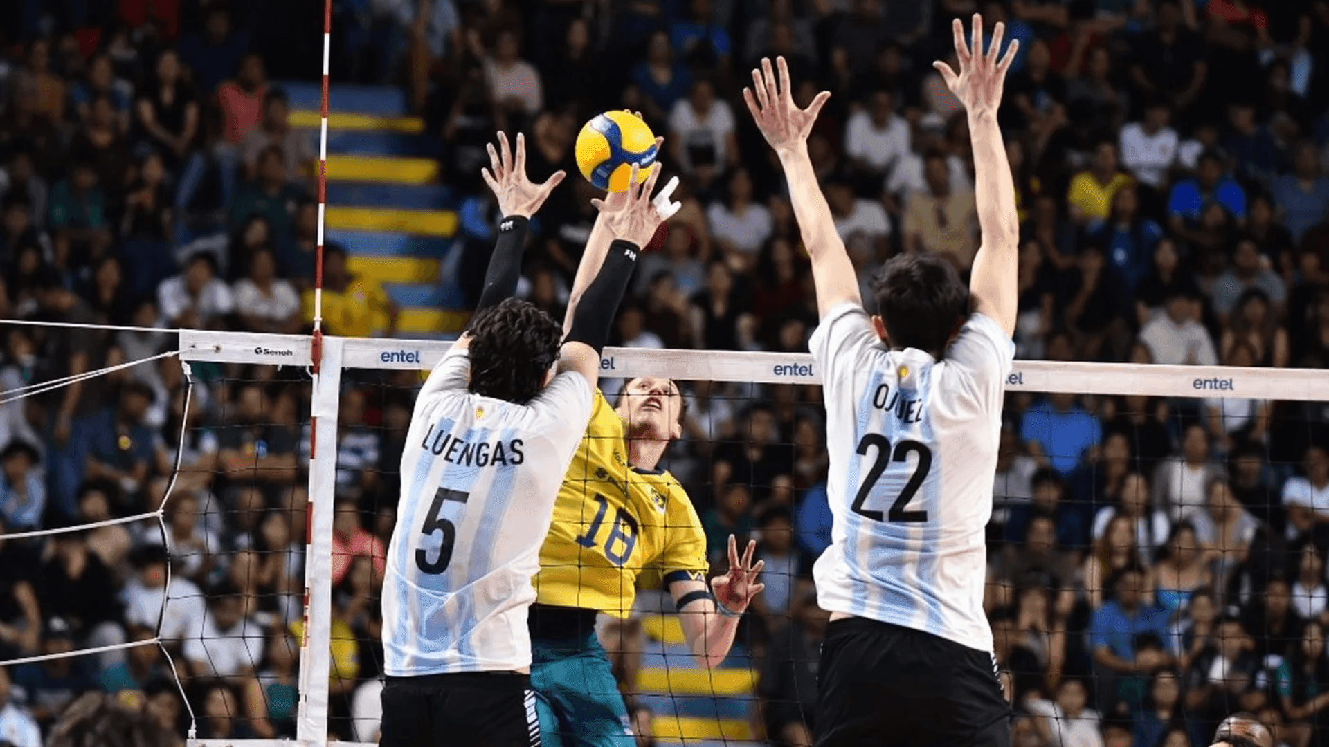 Brasil perde para a Argentina na final da Copa Sul-Americana de vôlei