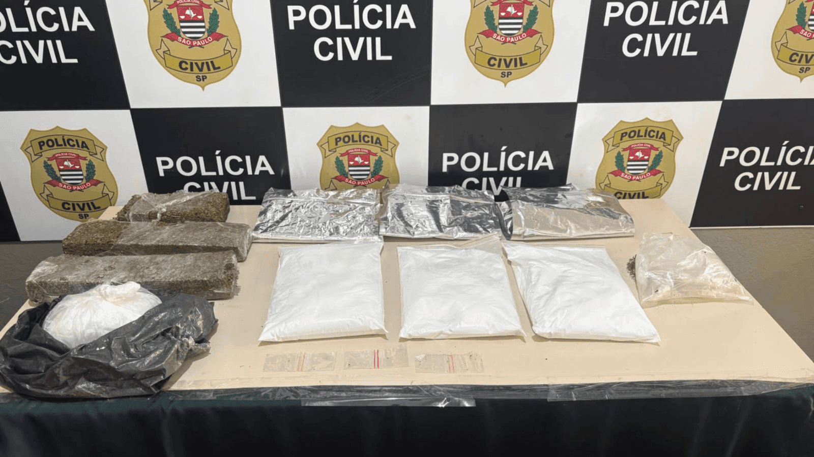Polícia Civil e BAEP apreendem quase seis quilos de drogas em uma mata