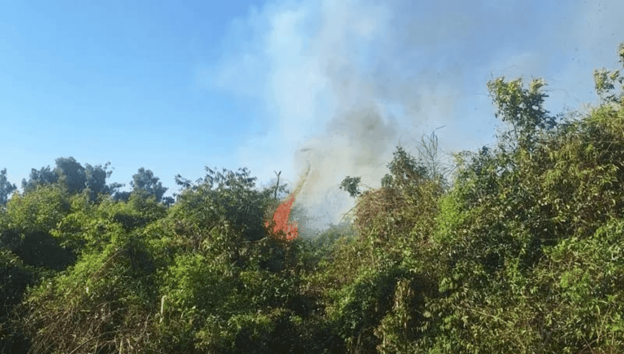 Incêndio atinge mais de 3 mil m² de mata em Martinópolis