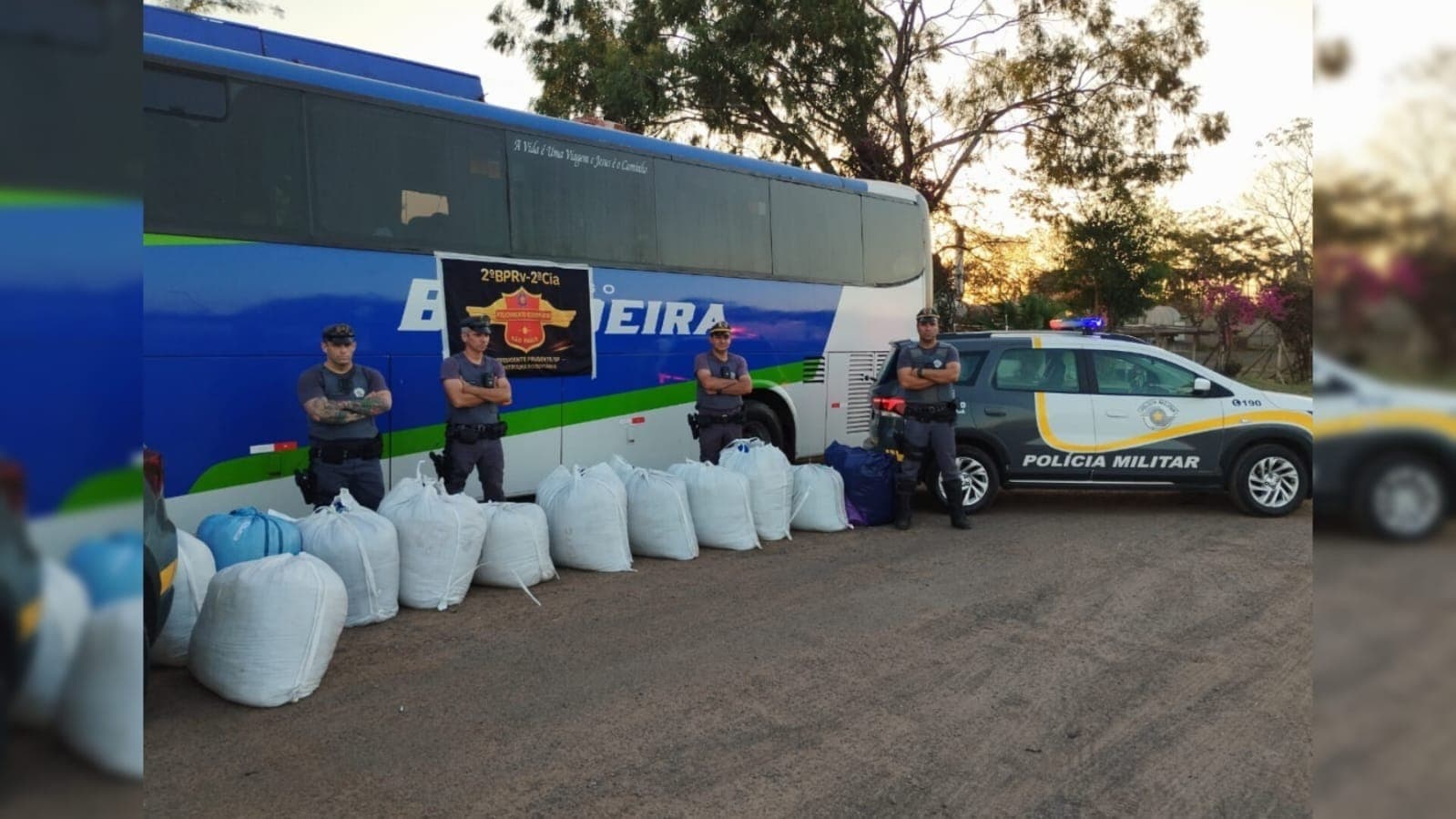 Mulher é presa após ser flagrada com 318 kg de folhas de coca