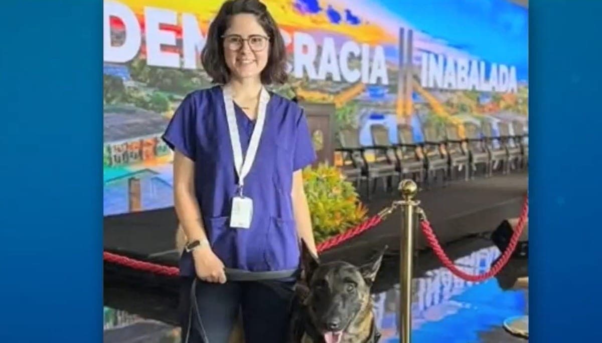Caso veterinária: o que fazer em caso de ataque de cão
