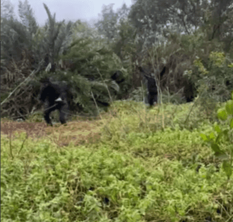 Operação da PM prende quatro e apreende dois fuzis em Vigário Geral.
