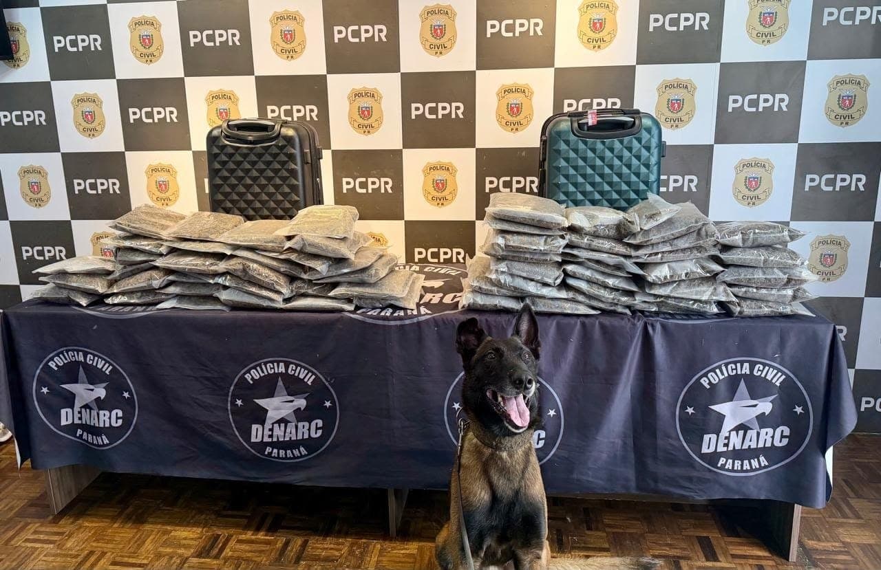 Cão de faro encontra 13 kg de flores de maconha na Rodoviária de Curitiba