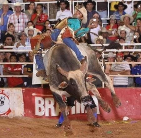 Touro Delegado lidera ranking nacional de rodeios em 2026